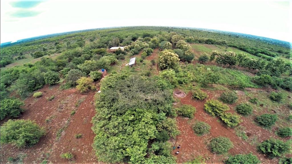Aranya Farm, a permaculture site in Telangana.